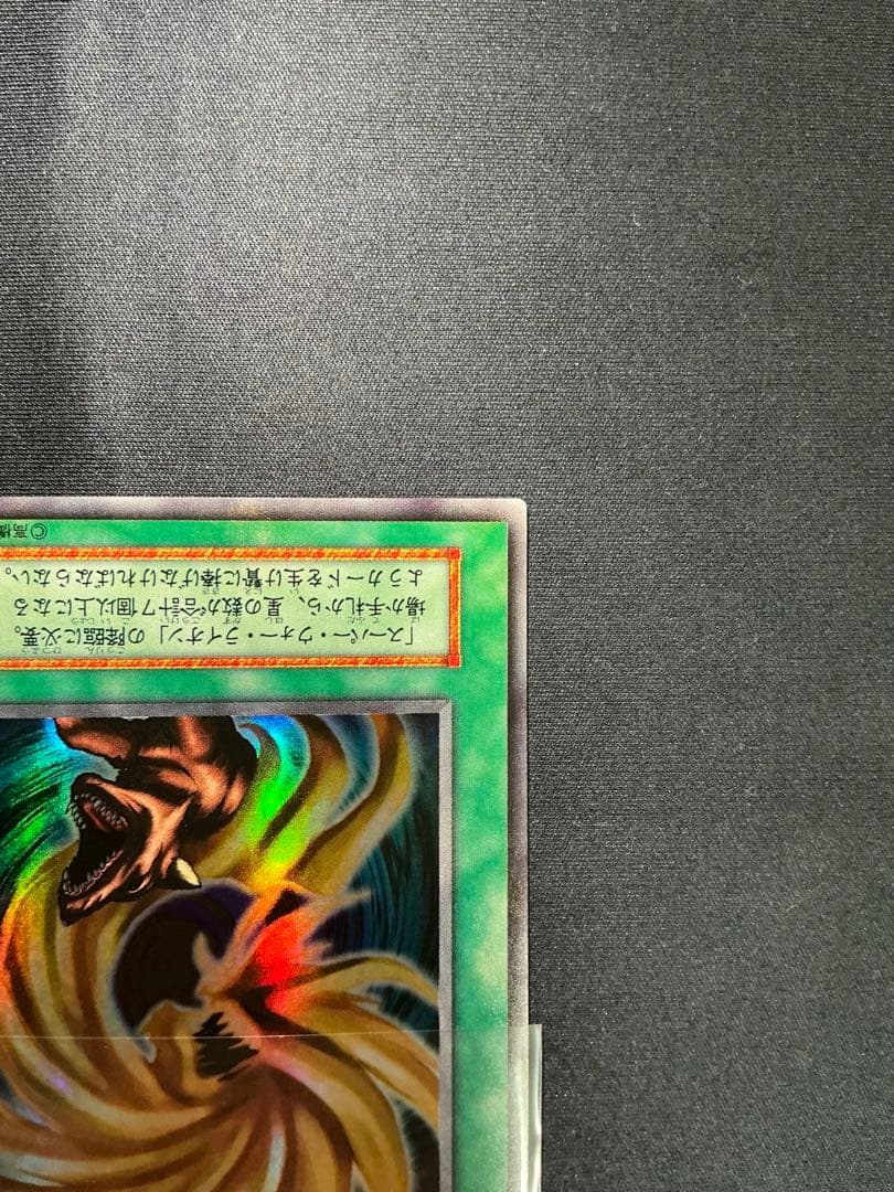 【確認用】　ライオンの儀式