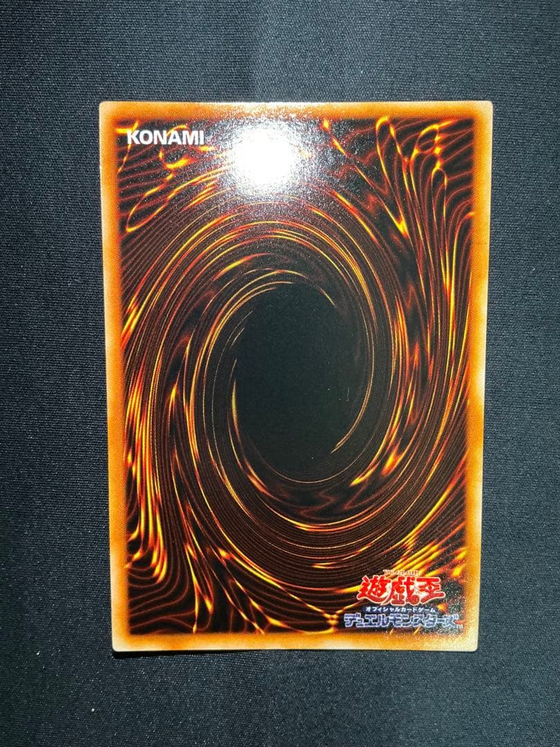 【確認用】　ライオンの儀式