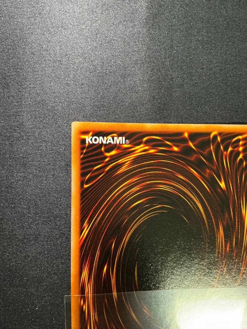 【確認用】　ライオンの儀式