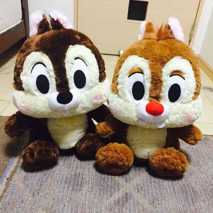 ディズニー限定 激レア 2点のみ