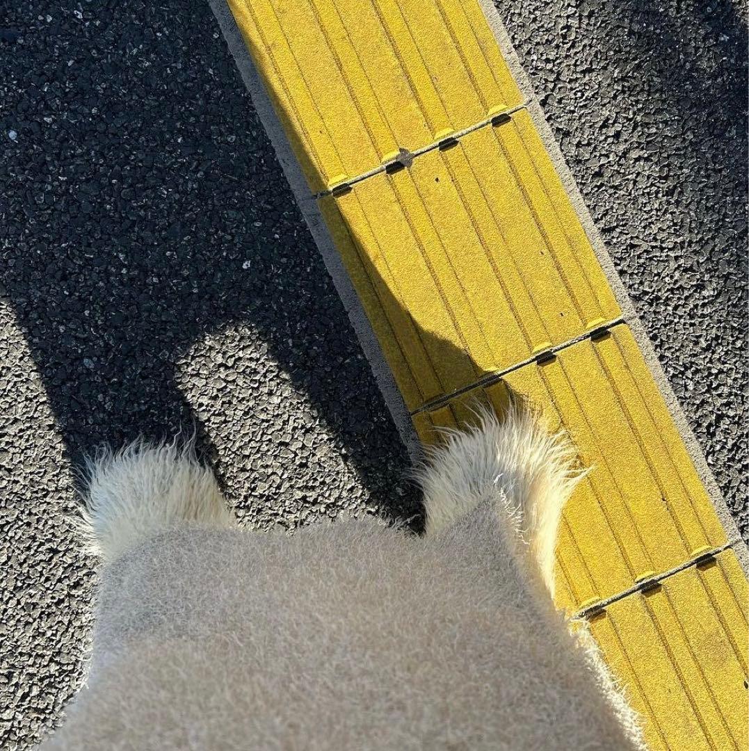 mediam ファー　ブーツカバー　レア★