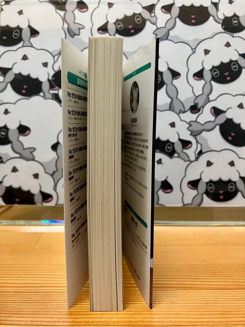 Re:IFから始める異世界生活　ゼロカラカサネルイセカイセイカツ