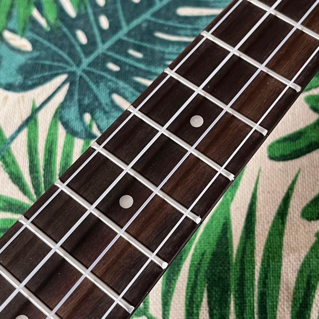 【アカシア材】Longteamのホヌ模様・コンサートウクレレ【ウクレレ専門店】