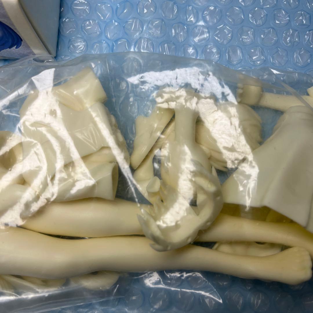 未使用　アミエ・グラン 綾波レイ Sein(ザイン) 1/6 ガレージキット