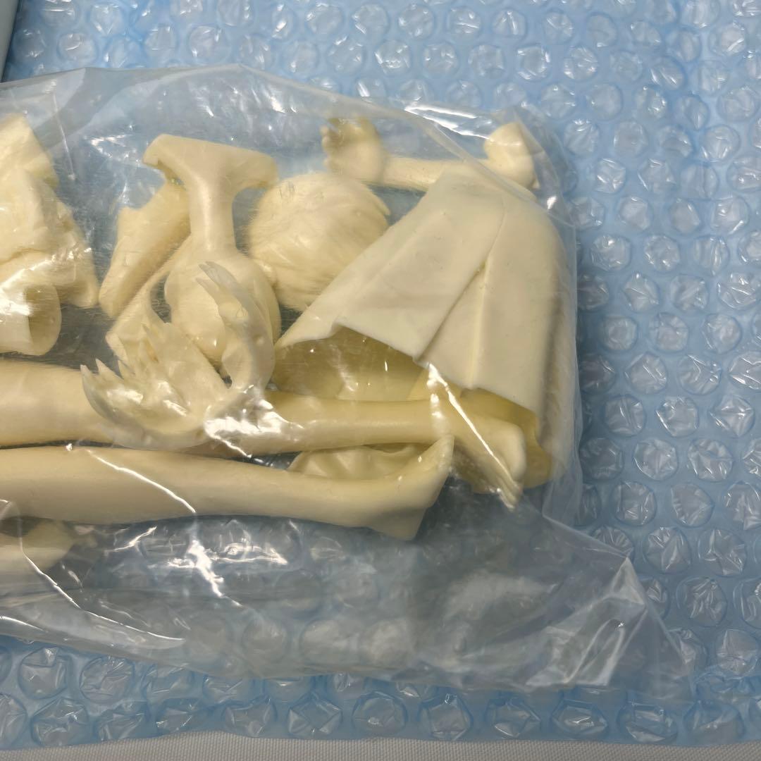 未使用　アミエ・グラン 綾波レイ Sein(ザイン) 1/6 ガレージキット