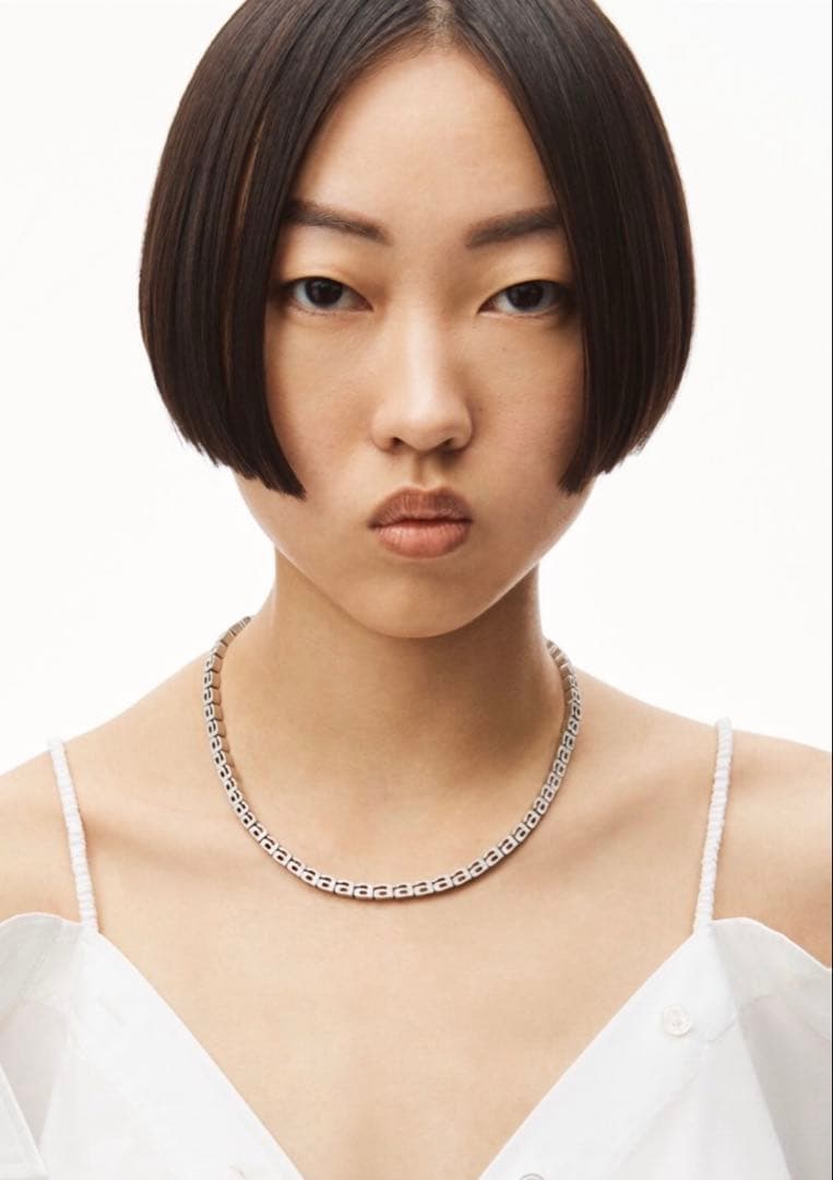 alexanderwang ネックレス