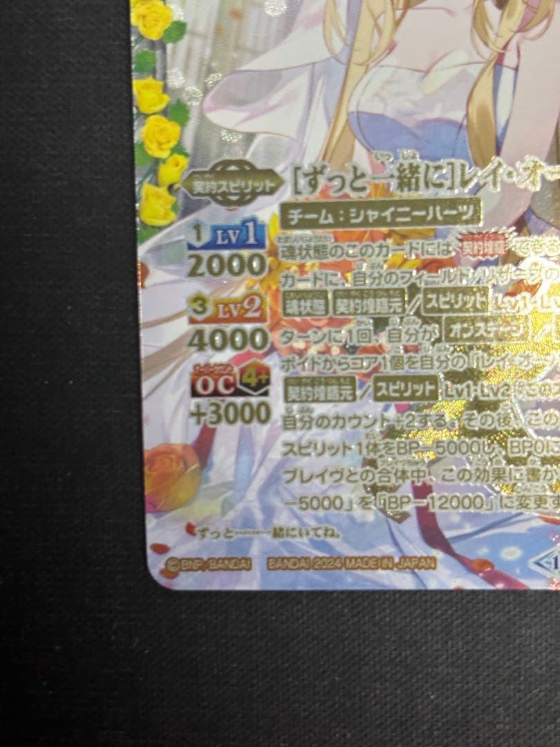 ［ずっと一緒に］レイオーバ　シークレット　10th secret