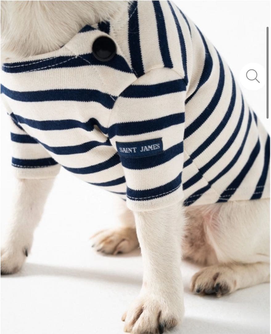 【新品未使用／日本未入荷】セントジェームス 犬服　Sサイズ　フランスパビリオン