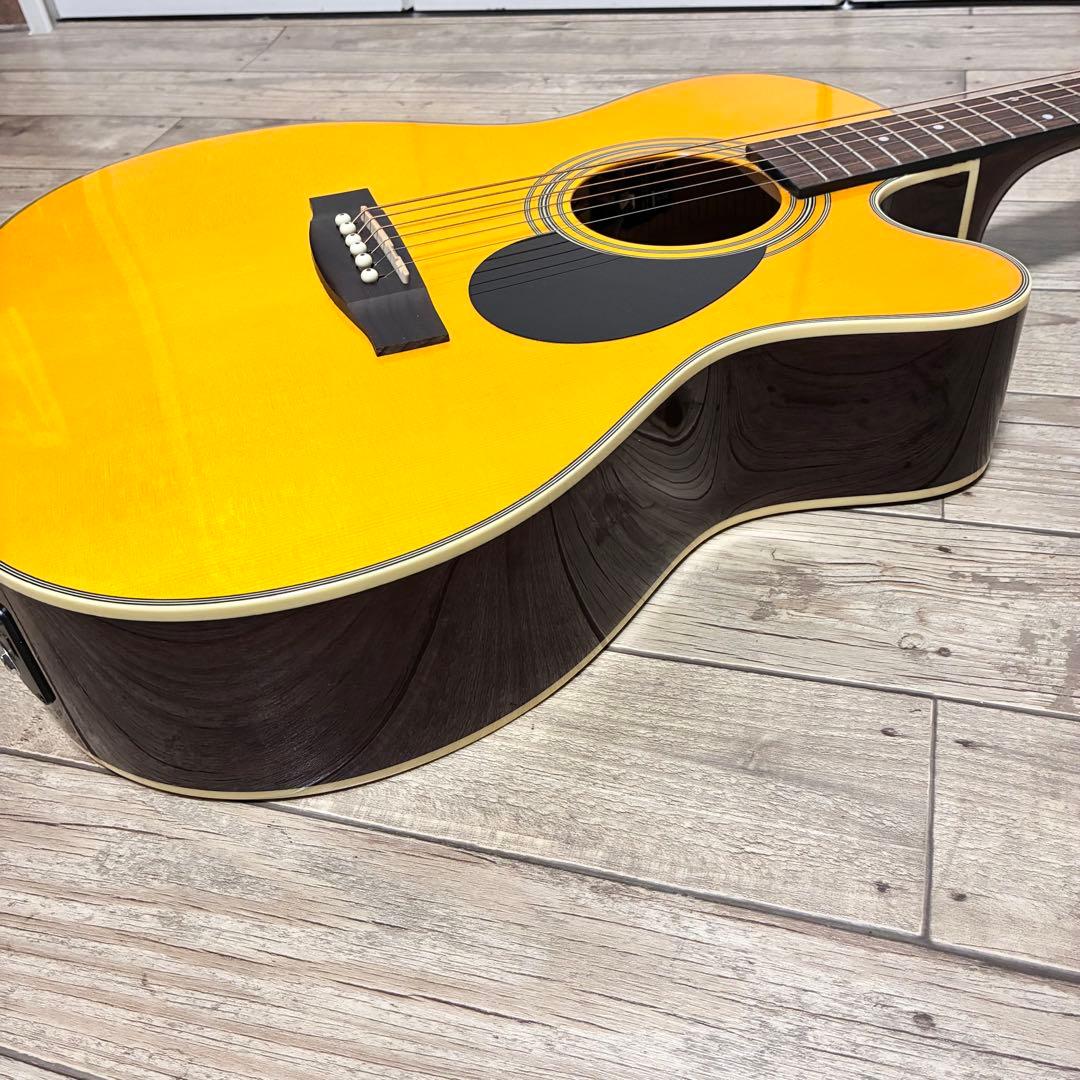 【良品】HEADWAY HEC-48 SB エレアコ セミハードケース付