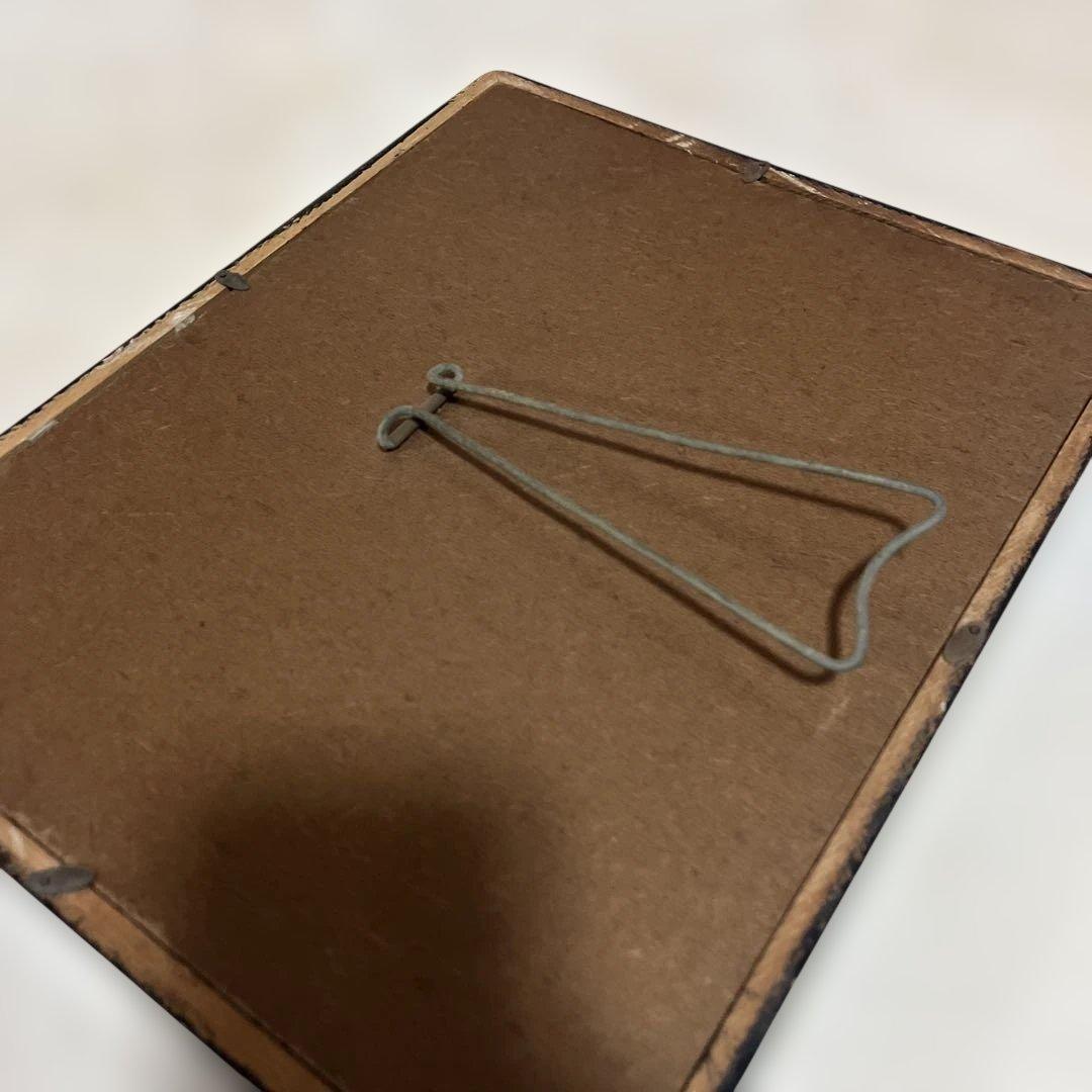 レトロ　モルフォ蝶他標本