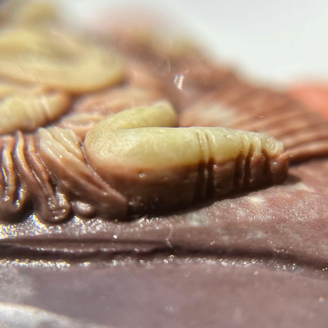 レア 天然石 パープル ローブジェイド 硬玉 ジェダイト 彫刻 魔除け 希少品