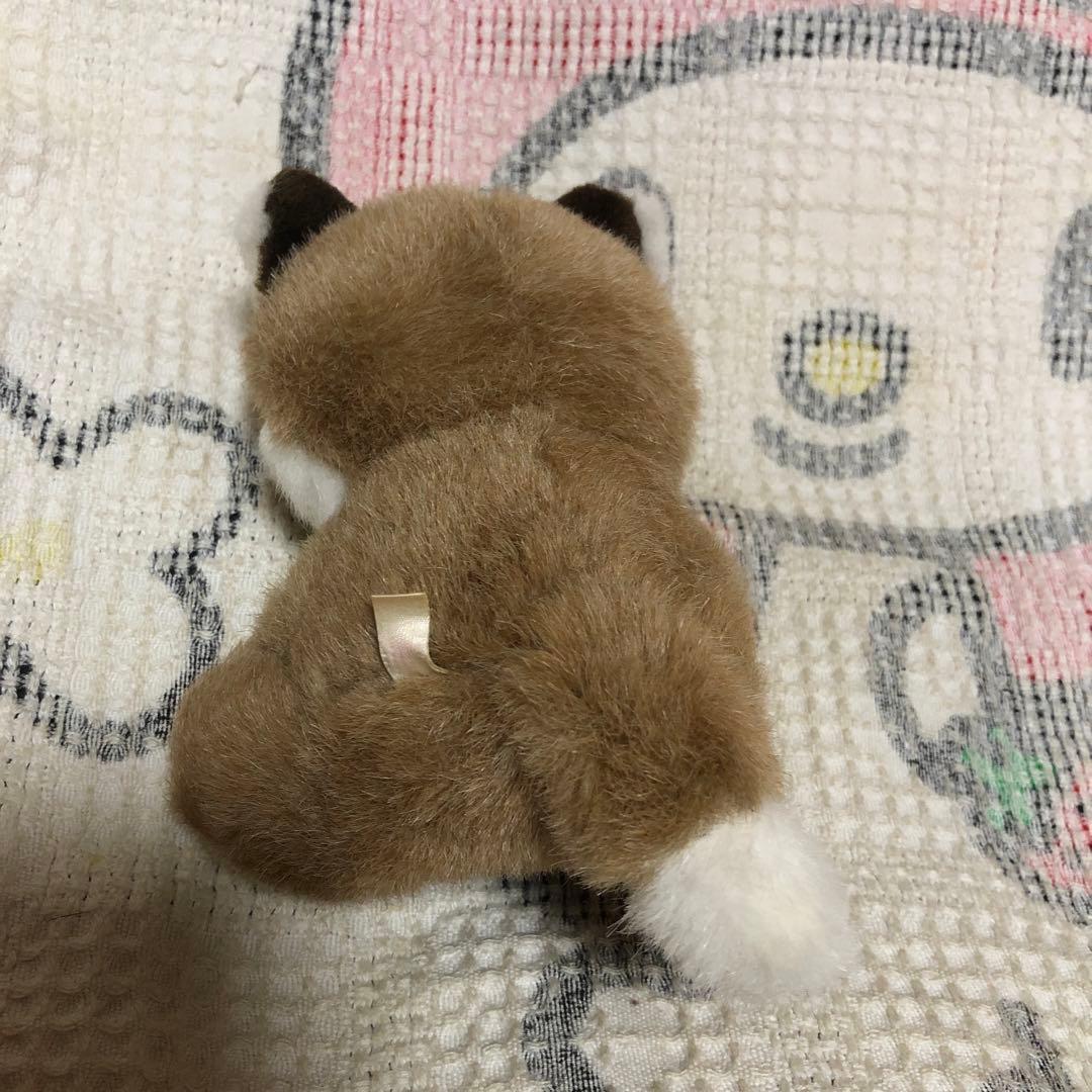 OIKE オオイケ　野菜物語　コーンキツネ　特大＆小　ぬいぐるみセット　中古品