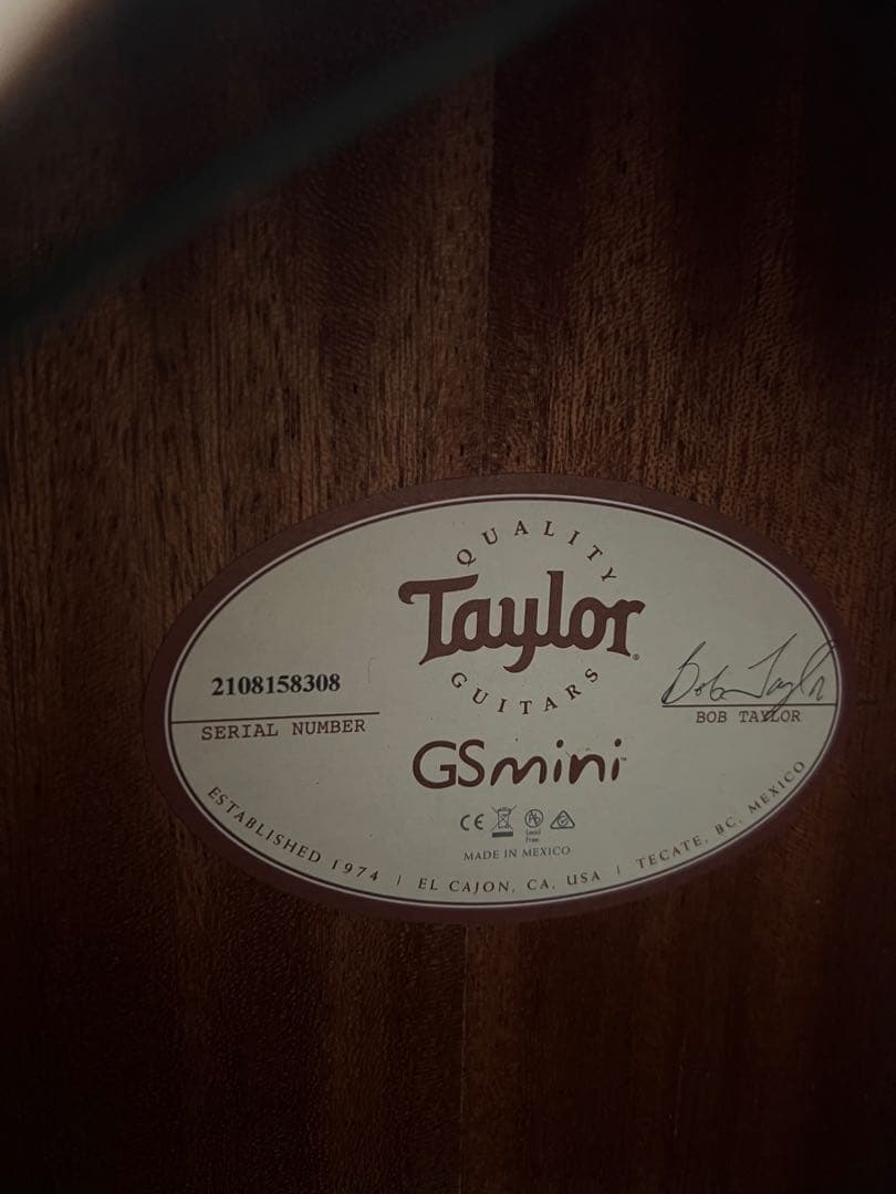 Taylor Guitars ( テイラーギター ) GS Mini-e