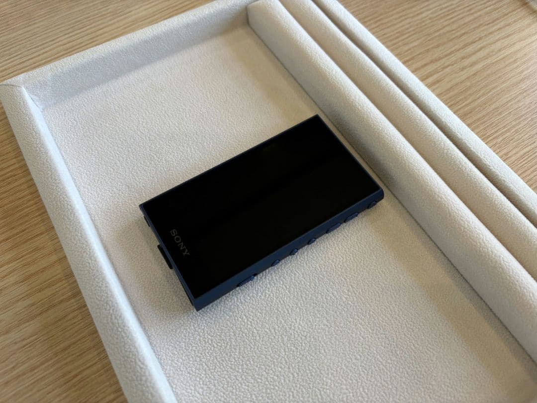 ウォークマン 32GB NW-A306