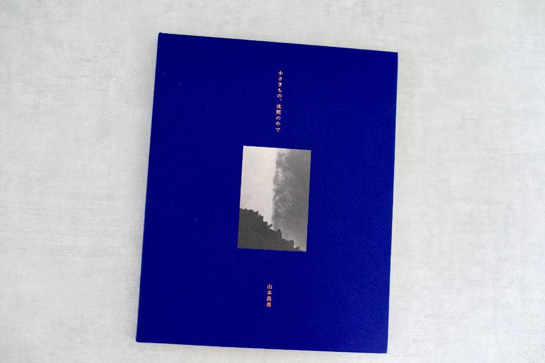 山本昌男 小さきもの、沈黙の中で Small Things in Silence