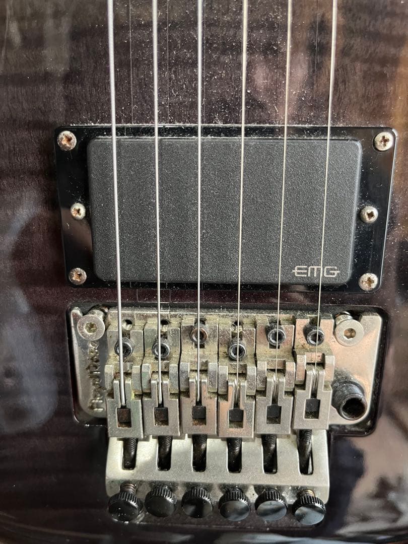 ギター DBZ Guitars BARCHETTA EM-FR EMG