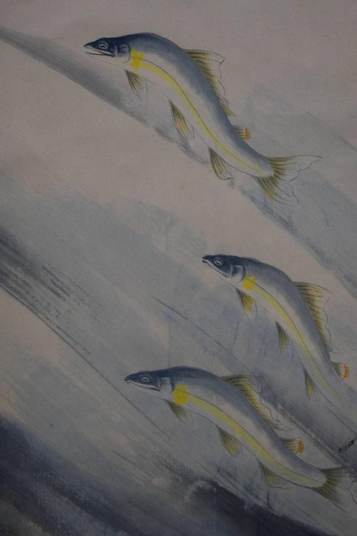 真作/杉原元人/鮎図/夏/桐共箱付/布袋屋掛軸HE-235/