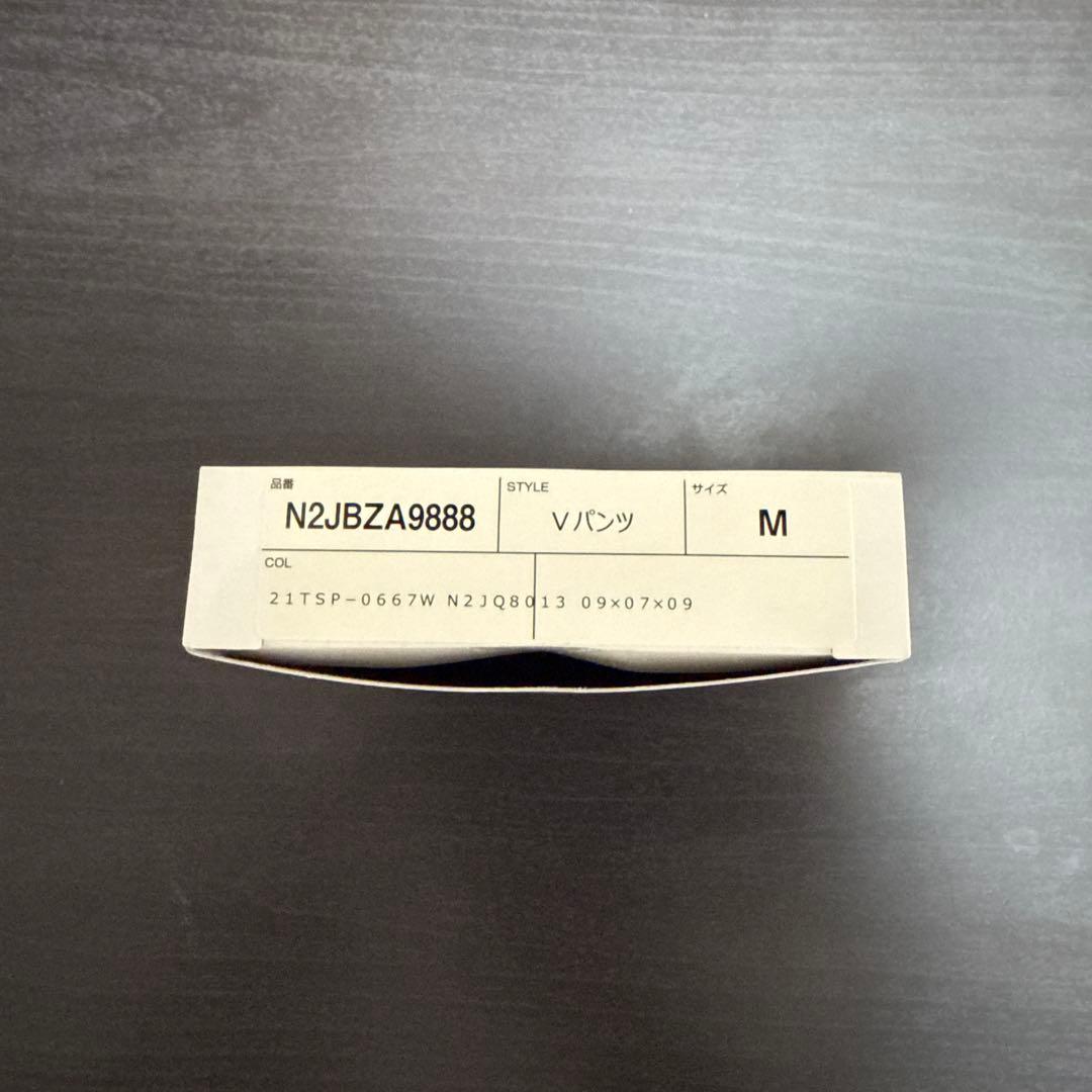 Mizuno 競パン ブラック×グレー FINA認証 Mサイズ