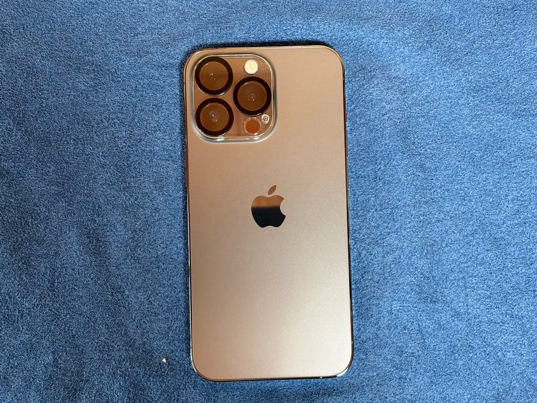 RamaRomo  iPhone13Pro 256 SIMフリー電池81%