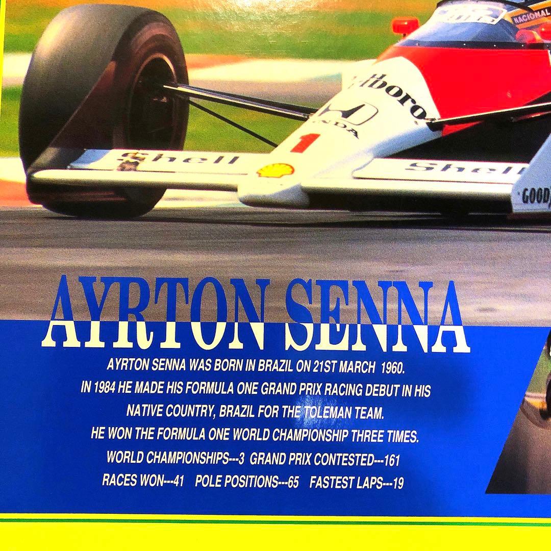 アイルトンセナ2000ピースパズル