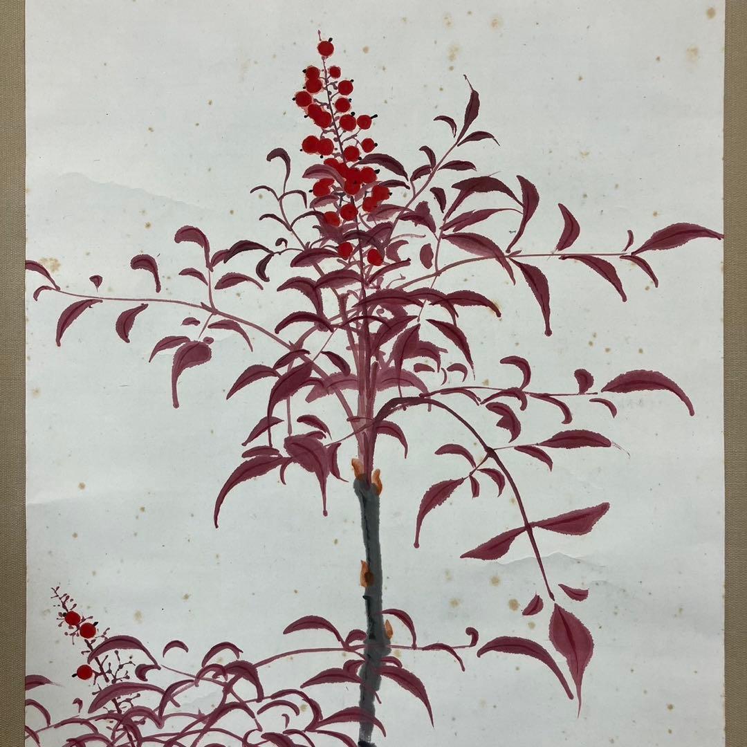 4176 山口華楊 「南天とすずめ」 共箱 肉筆 紙本 日本画 掛軸 西村五雲