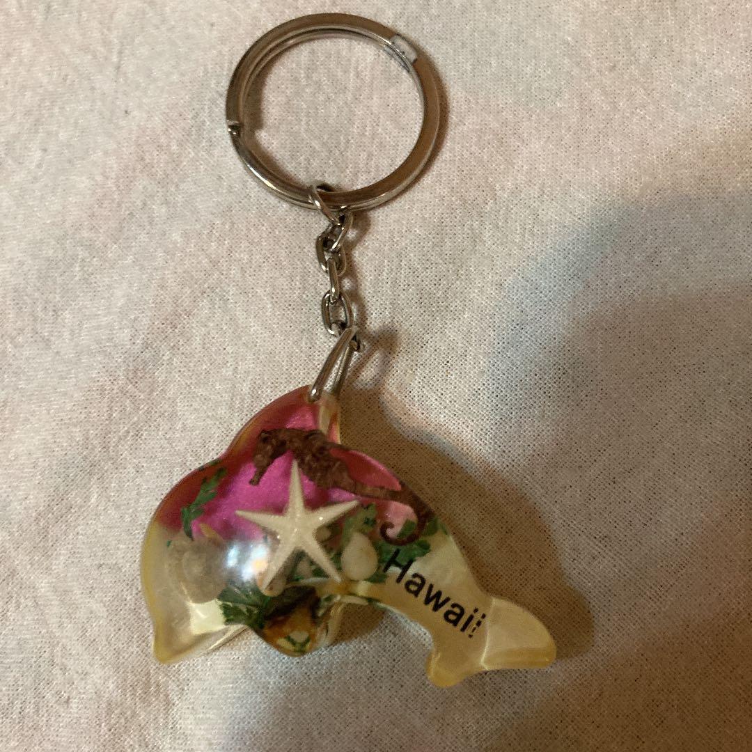 キーホルダー　Hawaii イルカ　タツノオトシゴ　貝　アクリル