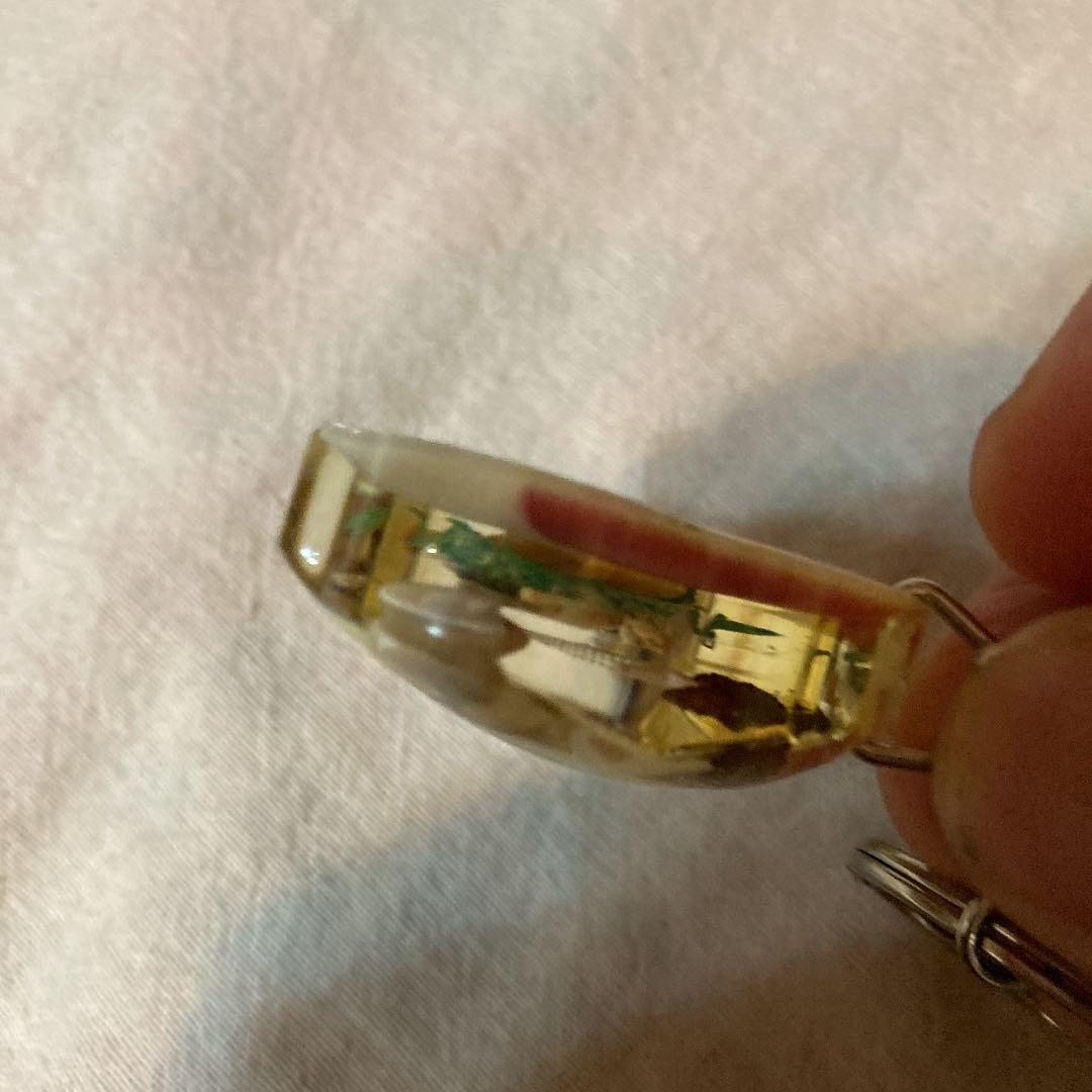 キーホルダー　Hawaii イルカ　タツノオトシゴ　貝　アクリル