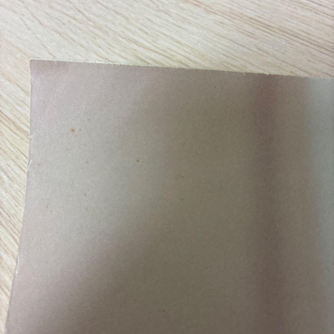 非売品　深田恭子　B2サイズ 72.8cm×51.5cm ポスター　2枚