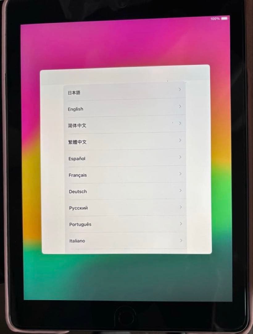 【本日発送】✨シーズー✨