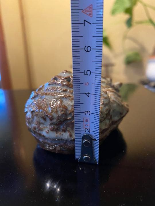 茶道具　鬼と福の香合　k