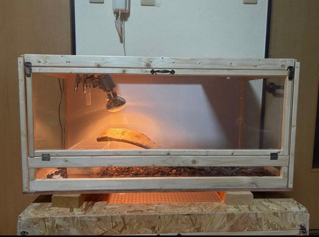 ヒメリン　　904545