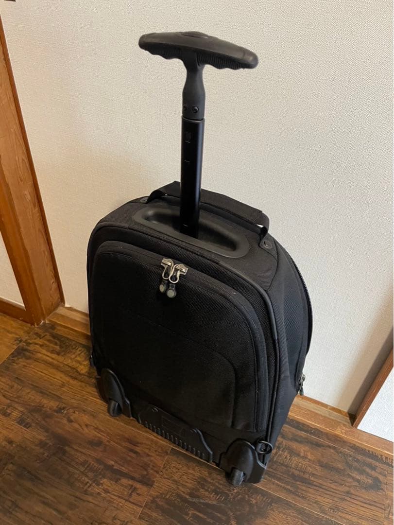 【レア廃盤ヴィンテージ】 パタゴニア キャリー＆リュック 2way 機内持ち込み