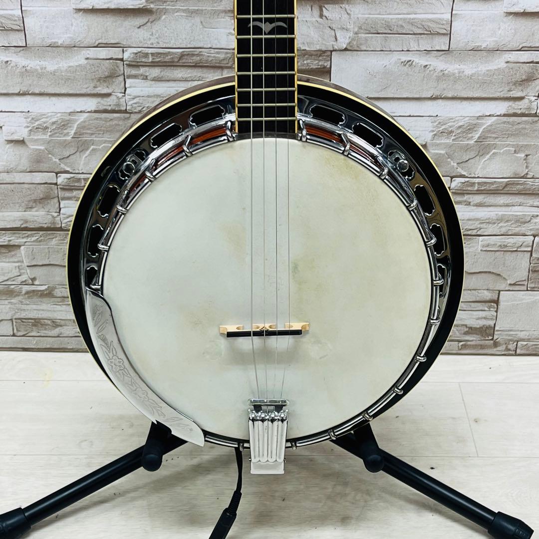 Aria アリア 5弦 バンジョー