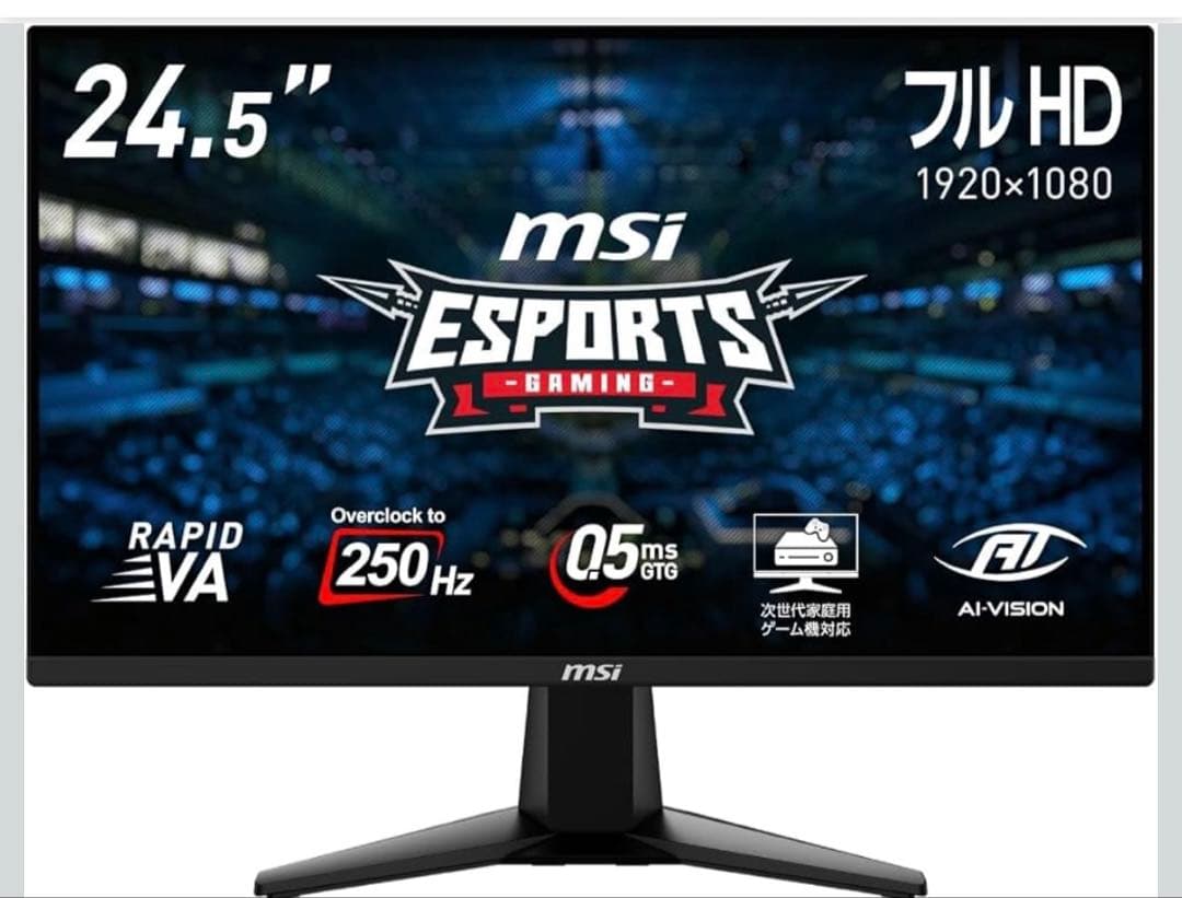 250hz MSI 24.5インチ ゲーミングモニター　MAG255XFV
