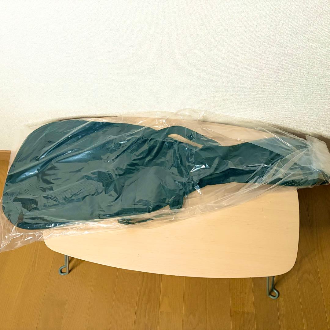 bacchus HST ALL BLACK【イケベ楽器限定モデル】