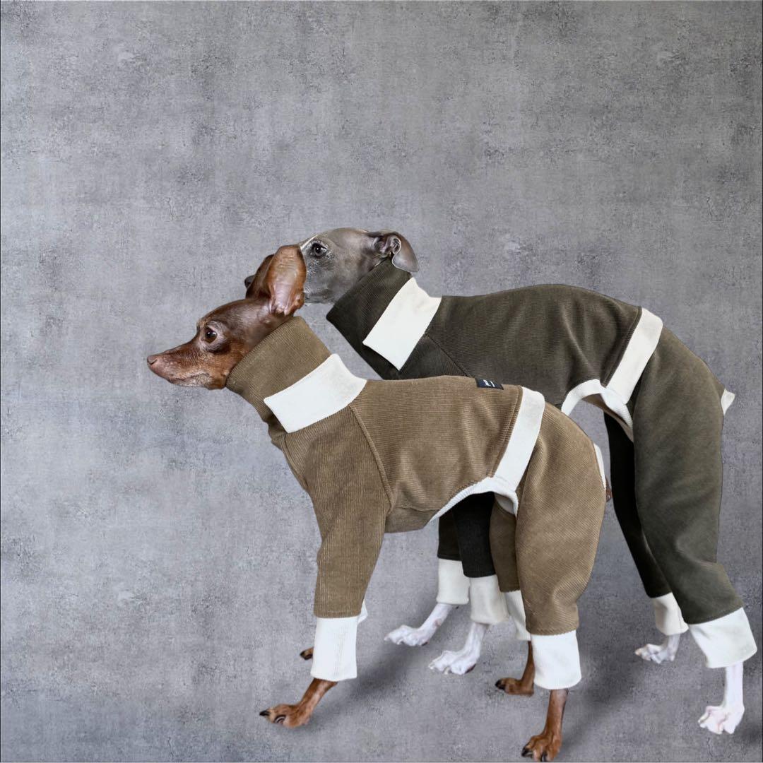 ⑪コーデュロイ イン パリ