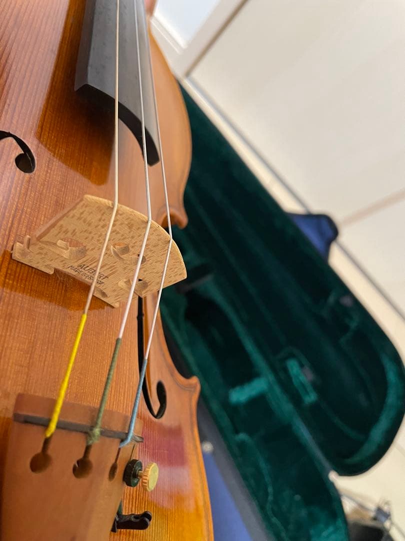 弦楽器 CARLO GIORDANO VS-2 4/4