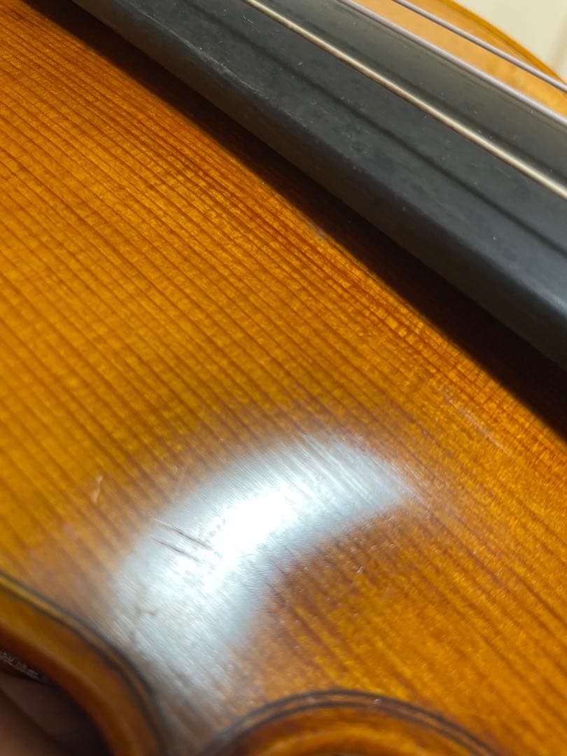 弦楽器 CARLO GIORDANO VS-2 4/4