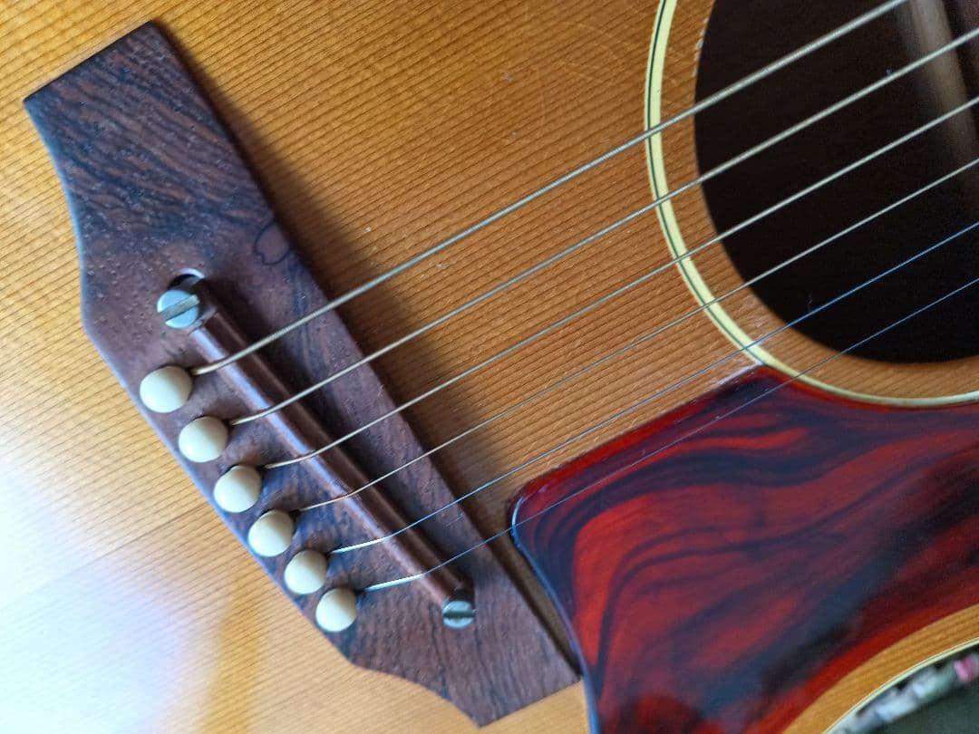 gibson B25-N 1969年製造推定