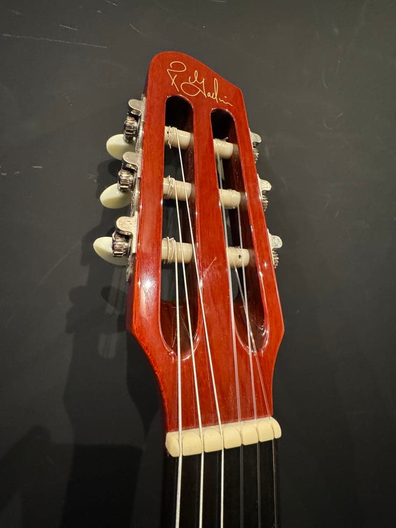 ギター Multiac Nylon ACS Slim SA