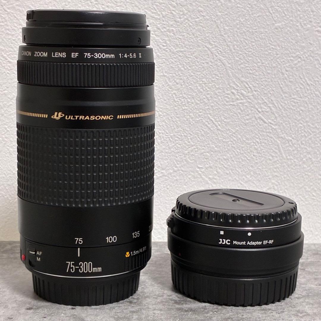 ⭐️美品⭐️Canon EFS 75-300 II & EF-EOS R アダプター