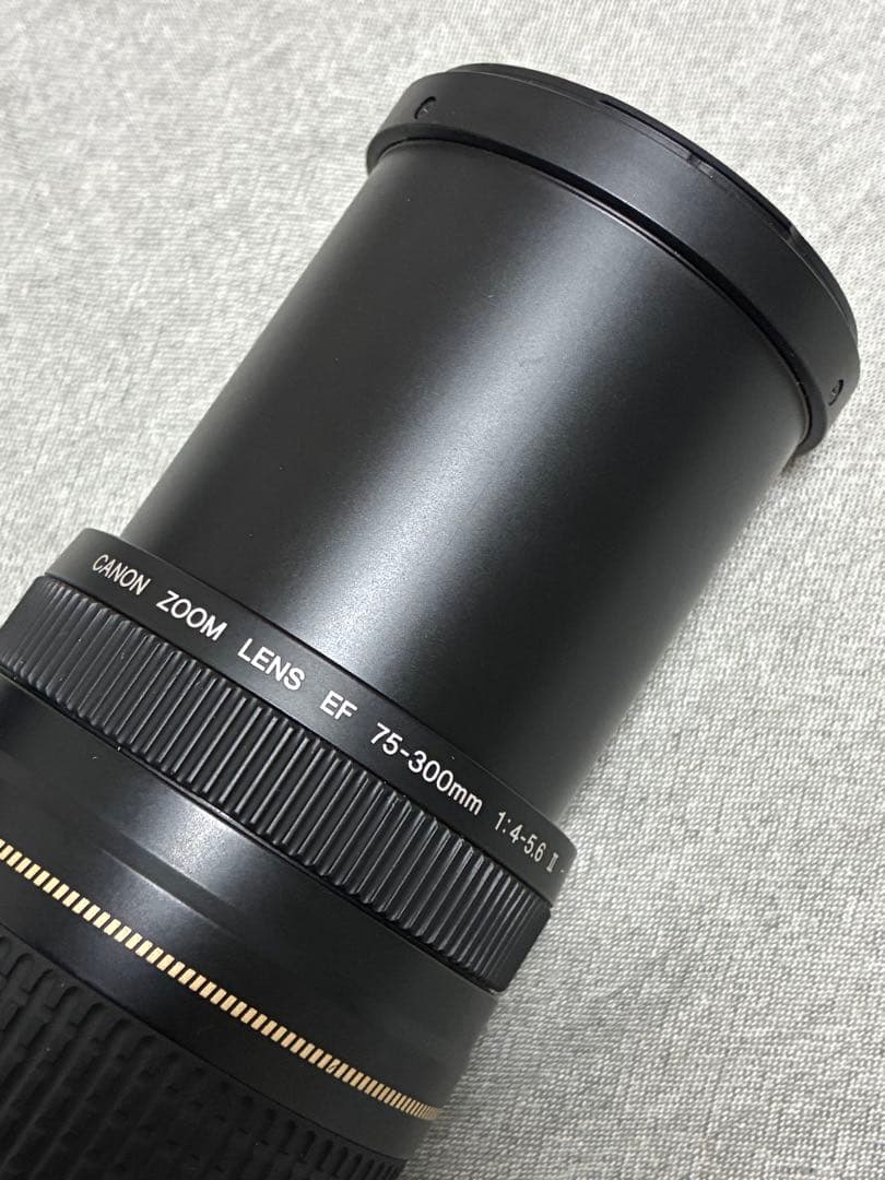 ⭐️美品⭐️Canon EFS 75-300 II & EF-EOS R アダプター