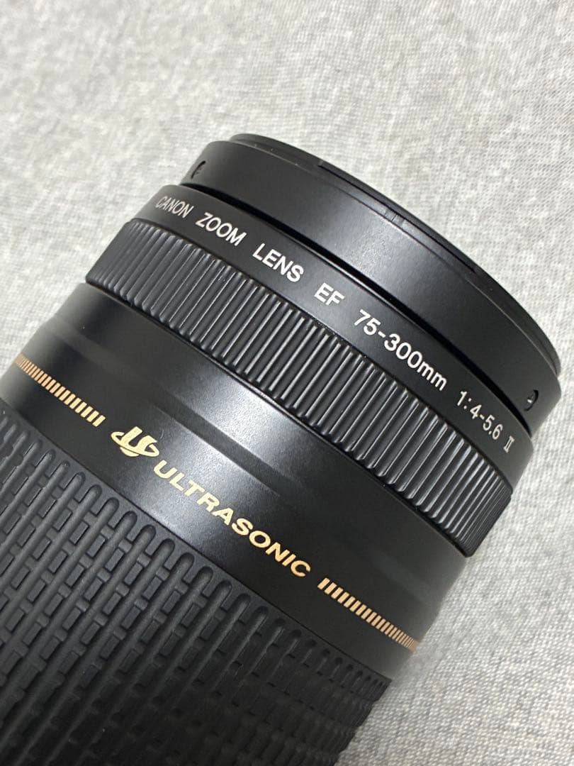 ⭐️美品⭐️Canon EFS 75-300 II & EF-EOS R アダプター