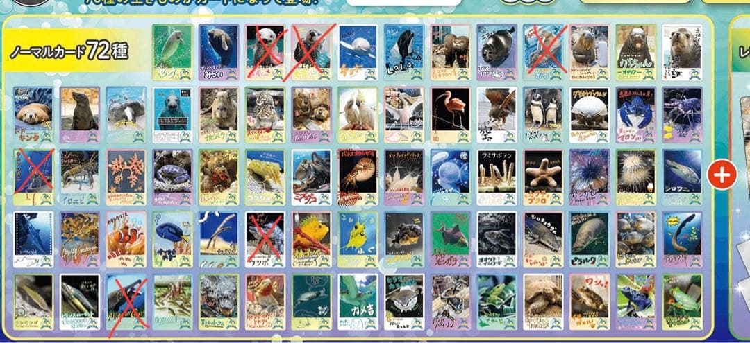 鳥羽水族館コレクションカード バラ売り1枚100円〜