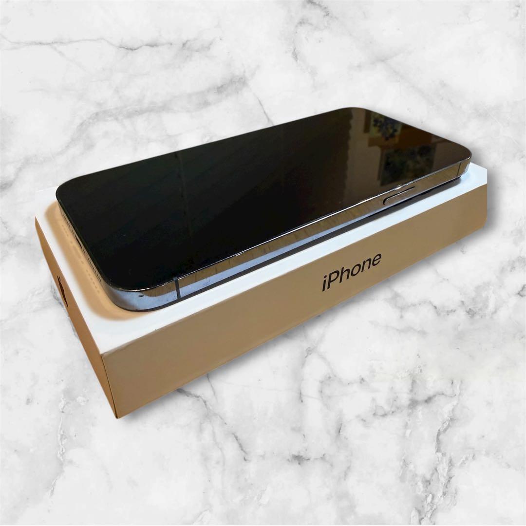 iPhone 13 Pro Max シエラブルー　128GB