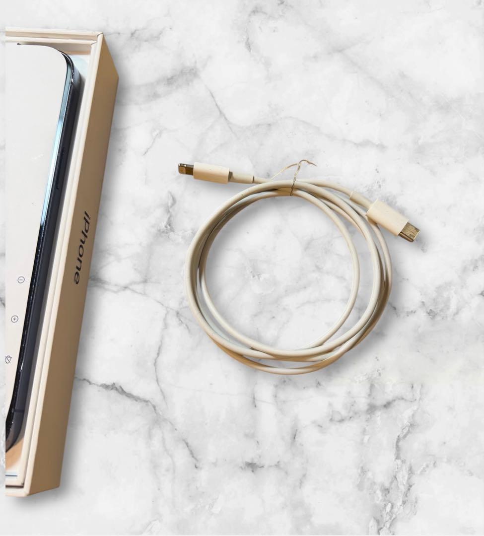 iPhone 13 Pro Max シエラブルー　128GB