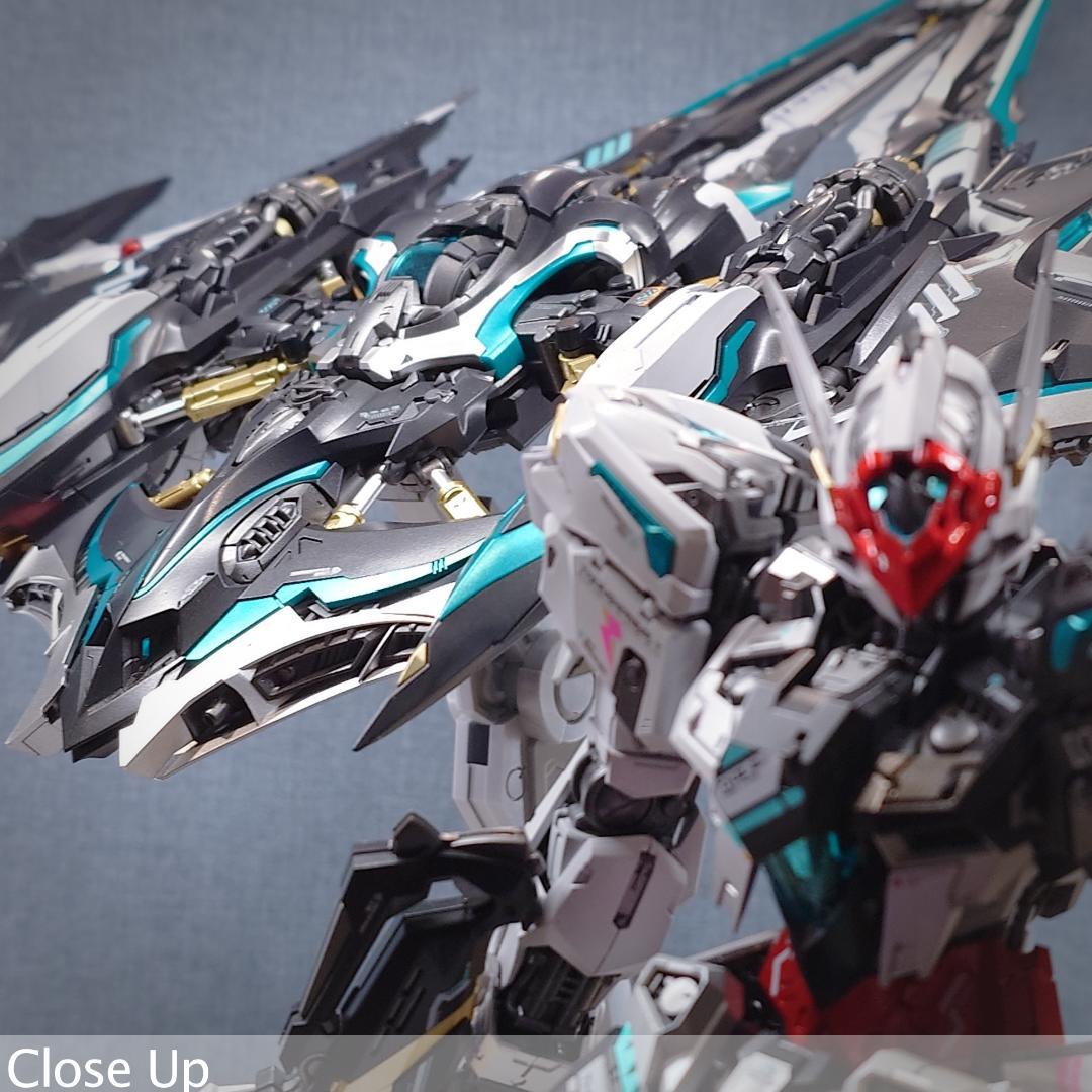 THUNDERBOLT DEVILFISH 1/100 IN ERA+ 完成品