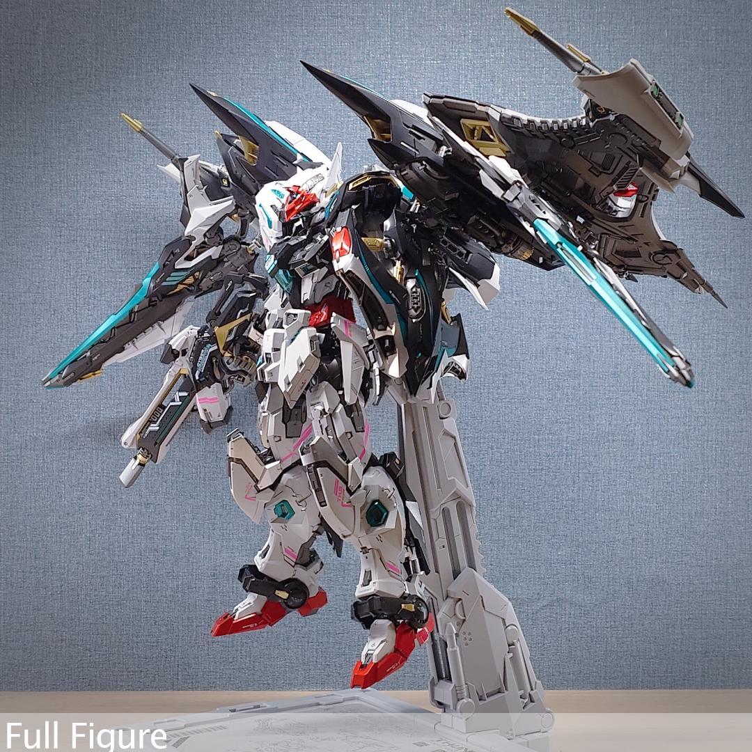 THUNDERBOLT DEVILFISH 1/100 IN ERA+ 完成品