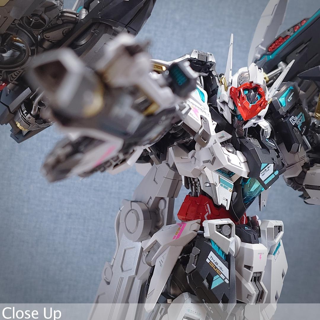 THUNDERBOLT DEVILFISH 1/100 IN ERA+ 完成品