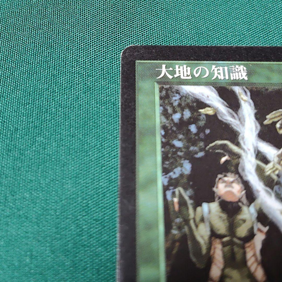 MTG 大地の知識